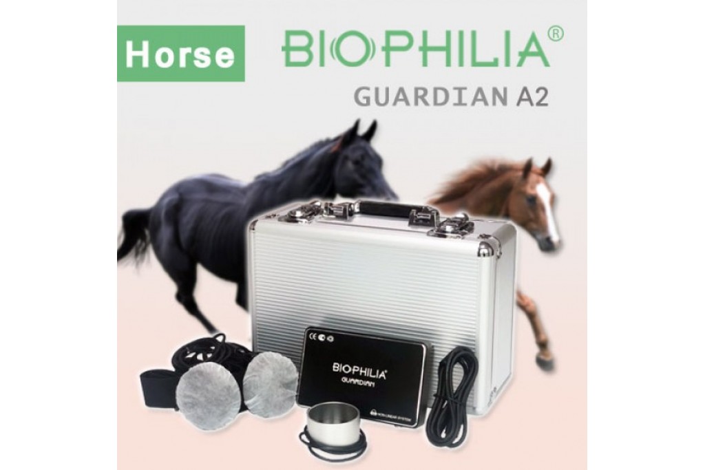 Precisely protect the health of your beloved horses: How does the Bioresonance Detector A2 make horse management more scientific?