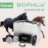 Biophilia Guardian A2 Bioresonance Machine For Horses